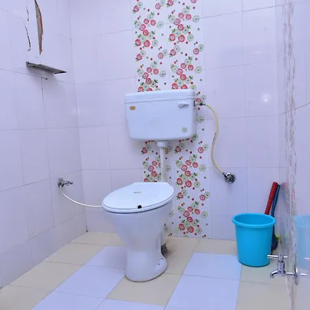 Hotel Moon Light Pushkar Room photo